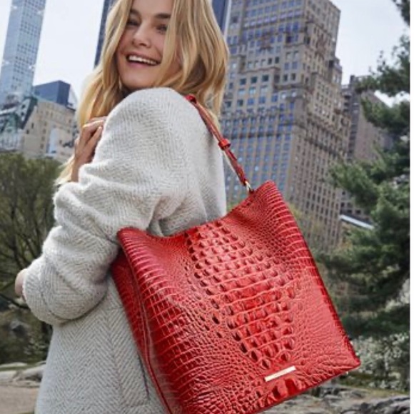 brahmin large amelia